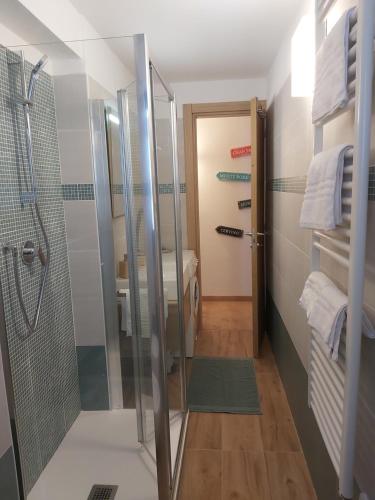 a bathroom with a shower and a walk in shower at La petite maison in La Thuile