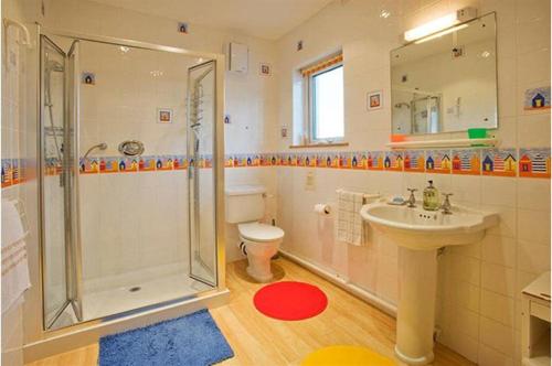a bathroom with a shower and a sink and a toilet at Afallon Aberdaron in Aberdaron