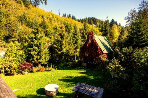 a garden with a shed and a bench in the grass at BIESIADA in Korbielów