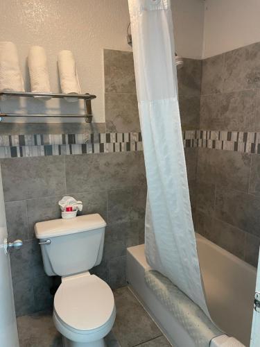 a bathroom with a toilet and a shower curtain at Econo Lodge Inn & Suites Near Lackland AFB in San Antonio