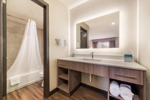 a bathroom with a sink and a mirror at Best Western Fishkill Inn & Suites in Fishkill
