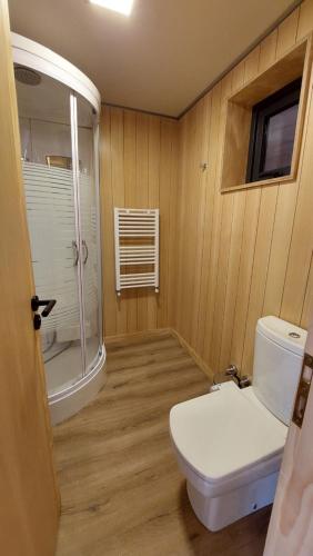 uma pequena casa de banho com WC e chuveiro em Hermoso monoambiente con entrepiso, para 3 personas, excelente ubicación y vista. 23V5 em San Martín de los Andes