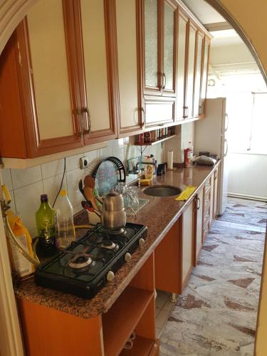 een keuken met een wastafel en een fornuis top oven bij fully furnished flat for rent in in Istanbul