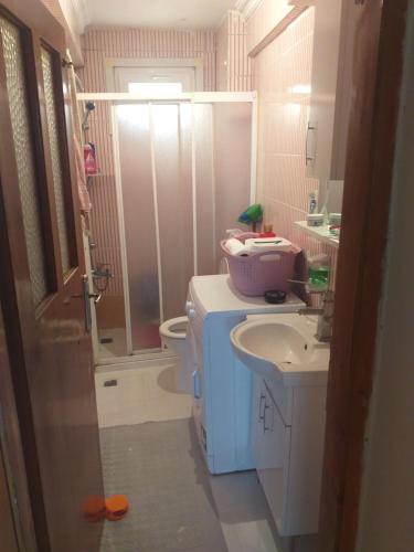 een badkamer met een wastafel, een toilet en een douche bij fully furnished flat for rent in in Istanbul