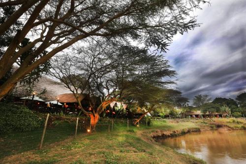 a tree in front of a river with a building at Mara River Lodge in Aitong