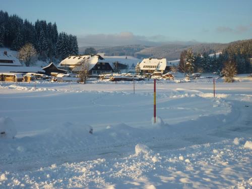 a field covered in snow with buildings in the background at Hotel Zum Löwen - Unteres Wirtshaus in Titisee-Neustadt