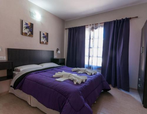 Hostal del Sol – Photos 2