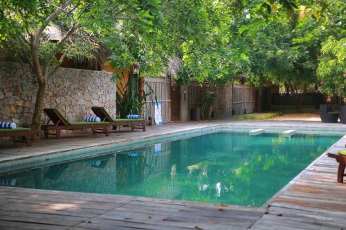 una piscina con sillas y árboles en un patio en Hiru Resort and Kite Surfing en Kalpitiya