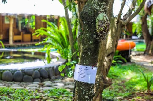 Zahrada ubytování Omunity Bali