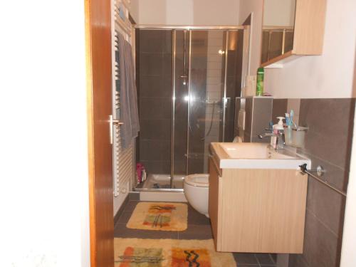 ein Bad mit einer Dusche, einem Waschbecken und einem WC in der Unterkunft Appartamento Posmonte in Agra