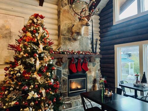 Alaskan Inn and Spa – Photos 2