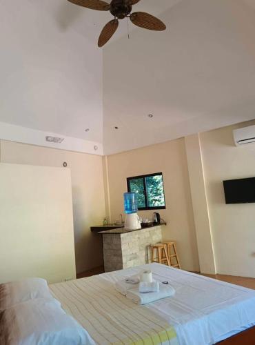 ein Schlafzimmer mit einem Bett mit Deckenventilator in der Unterkunft Tyner's Place in Panglao