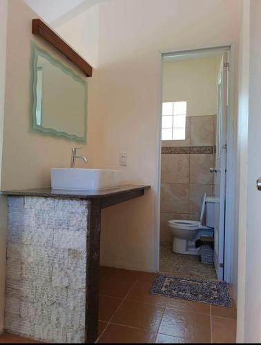 ein Badezimmer mit Waschbecken und Toilette in der Unterkunft Tyner's Place in Panglao