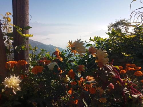 a bunch of flowers in front of a pole at Unique point home stay in Nagarkot
