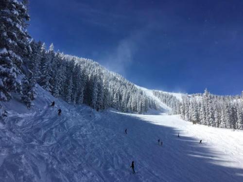 Snow Bear Breckenridge 4 – Photos 3