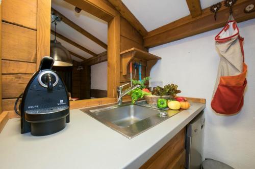 eine Küche mit einer Spüle und einem Toaster auf der Theke in der Unterkunft Résidence Améthystes A14 ski-in ski-out - Happy Rentals in Chamonix-Mont-Blanc
