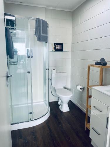a bathroom with a toilet and a glass shower at A1 Kaikoura Motel & Apartment in Kaikoura