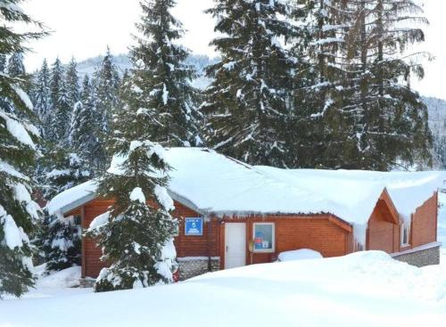 a cabin with snow on the roof and trees at Vila IZVORUL MINUNILOR in Stana de Vale
