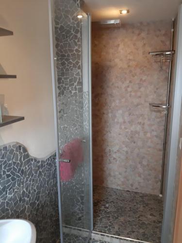 a shower with a glass door in a bathroom at Waldquelle in Plauen