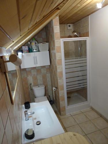 La petite salle de bains est pourvue d'un lavabo et de toilettes. dans l'établissement Chalet douillet au cœur du Champsaur, à Poligny