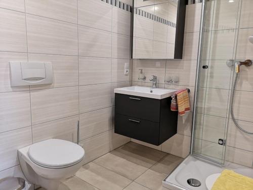 ein Bad mit einem WC, einem Waschbecken und einer Dusche in der Unterkunft C1 Schwarzwald-Fewo an der Alb 50m FerienwohnungApp für max 5 Personen in Menzenschwand