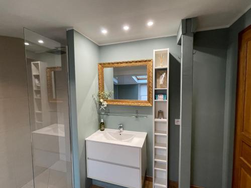 een badkamer met een wastafel en een spiegel bij Gite Boulogne-sur-mer in Boulogne-sur-Mer