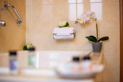 a bathroom with towels and a plant on the wall at Baldeneige in Pramanta