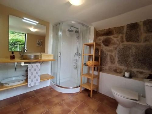 a bathroom with a shower and a toilet and a sink at A Viña de Lina. Turismo rural con piscina y finca. in Pontevedra