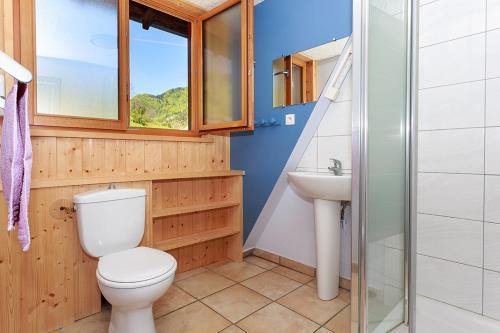 een badkamer met een toilet en een wastafel bij GITE AUBERGE L'HERBE TENDRE in Saint-Pierre-dʼEntremont