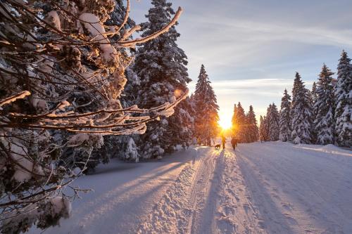 a group of people walking down a snow covered road at Terme Zreče – Hotel Atrij in Zreče