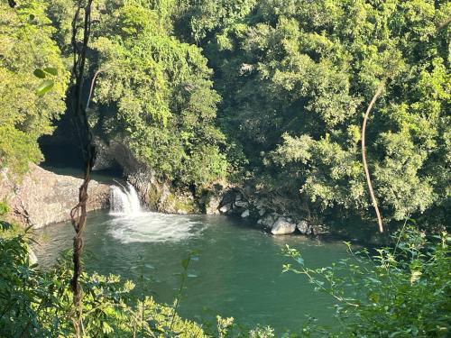 a river with a waterfall in the middle of a forest at Arbre à pain in Bras-Panon