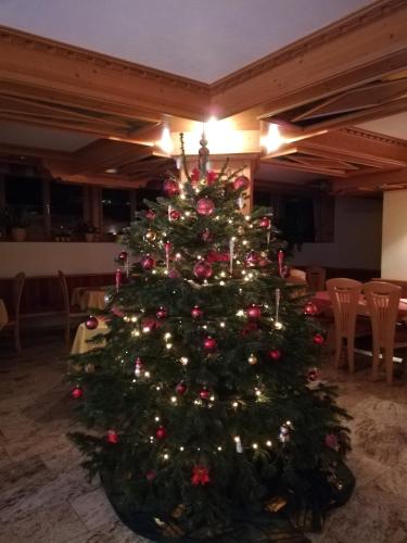 Pension Steinerhof – Photos 3