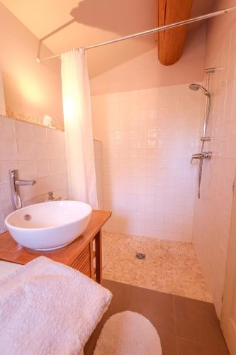une salle de bain avec un lavabo et une douche dans l'établissement Cottage provencal - Villa saint Marc, à Forcalquier