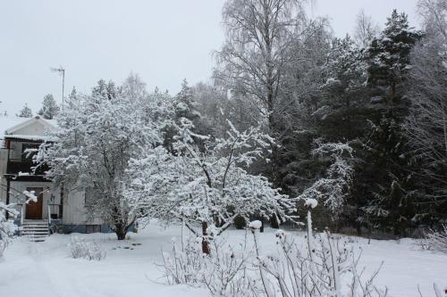 Rappens Stuga,Självhushåll през зимата