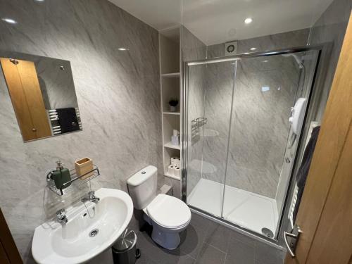 a bathroom with a shower and a toilet and a sink at Charming Countryside Cottage in Ivybridge