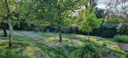 a garden with trees and flowers in the grass at Villa Vignacce - Boutique Country Resort in Bettolle