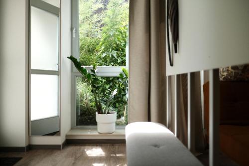 a room with a window with a potted plant at Apartments zur alten Konditorei in Schwerin