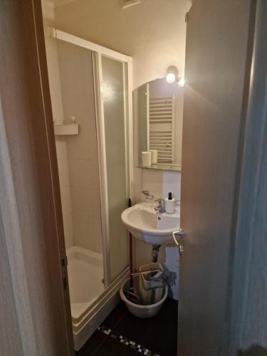 a bathroom with a sink and a shower at Studio Jolly Kop Jana 2 in Kopaonik