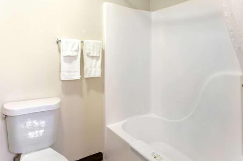 a white bathroom with a toilet and a bath tub at Quality Inn & Suites Metropolis I-24 in Metropolis