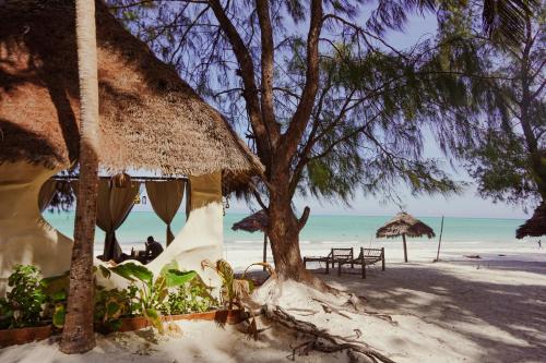 帕傑的住宿－Kinazi Upepo Beach Eco Lodge，海滩上设有桌子和遮阳伞,还有大海