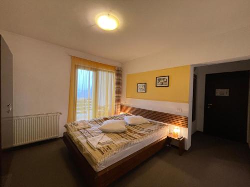 a bedroom with a large bed with a window at Pensiunea MIS in Bran
