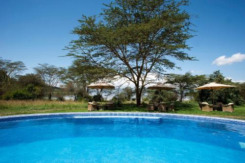 a large swimming pool with tables and umbrellas at Lake Elmenteita Serena Camp in Elmenteita