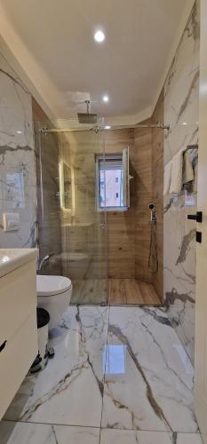a bathroom with a shower and a toilet and a sink at Arkle Apartment 1 in Tirana