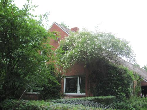 a red brick house with a window and trees at Gästezimmer im Engelshof, 61224 in Moormerland
