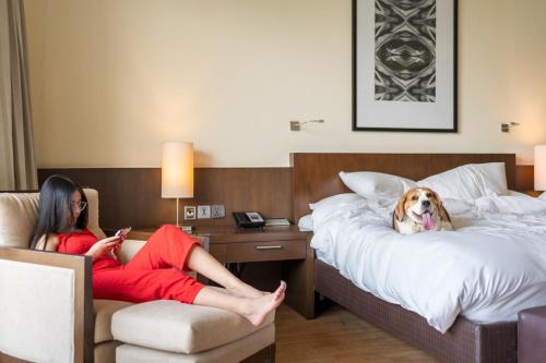 a woman in a hotel room with a dog laying on a bed at Hyatt Hyderabad Gachibowli in Hyderabad