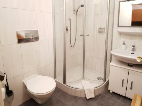 a bathroom with a shower and a toilet and a sink at Menkenhof in Reit im Winkl