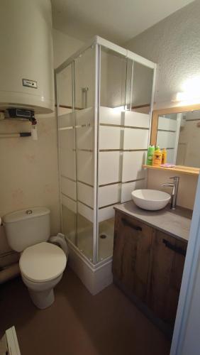 une salle de bain avec toilettes et lavabo dans l'établissement La Foux d'Allos - Studio 4 pers., à Allos