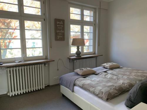 ein Schlafzimmer mit einem Bett und zwei Fenstern in der Unterkunft Apartmenthaus Villa Lindenbühl in Mühlhausen