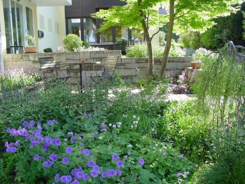 a garden with purple flowers in front of a house at Hotel Christine in Radolfzell am Bodensee