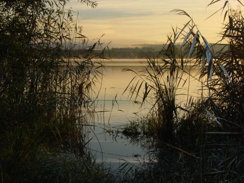a view of a body of water with grass at Hotel Christine in Radolfzell am Bodensee